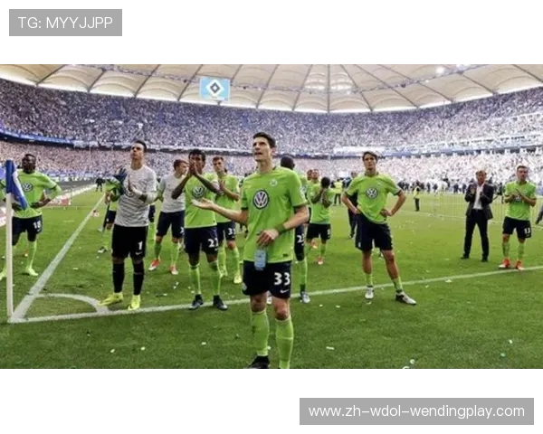 金元足球兴起背景下的德甲代表球队介绍